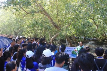 RMMC Students Lead Mangrove Planting to Strengthen Coastal Resilience