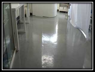 COAHS Laboratories Undergo Floor Renovation and Painting at FGM